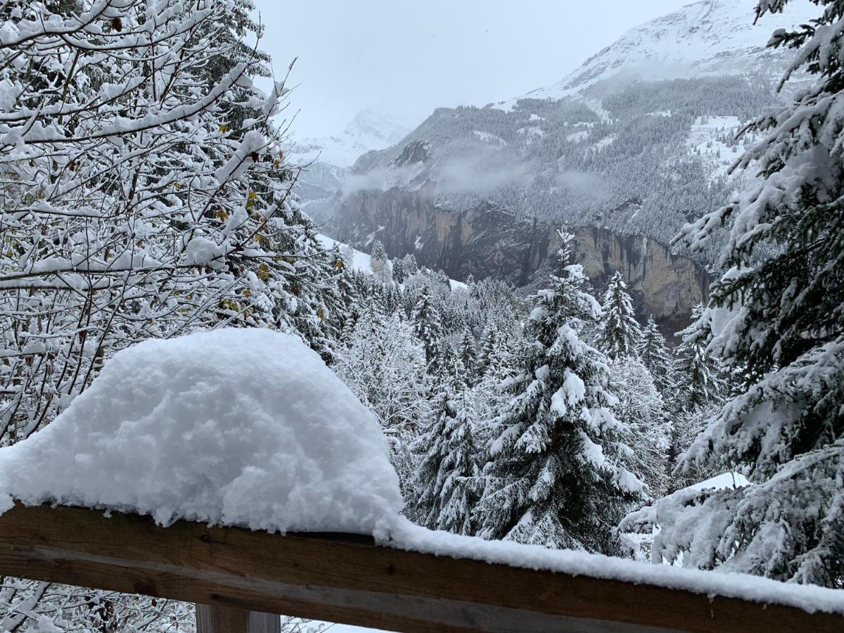 Chalet Schiltwald Innerwengen Exterior foto