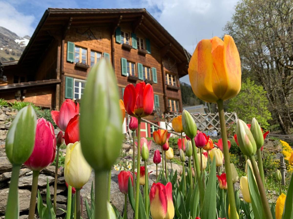 Chalet Schiltwald Innerwengen Exterior foto